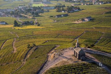 Image paysage Beaujolais