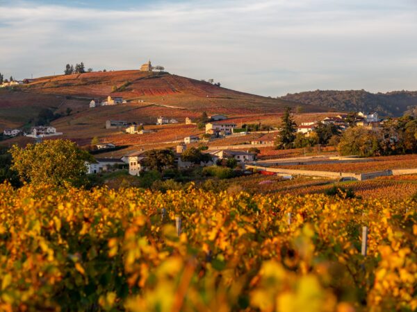 Image paysage Beaujolais