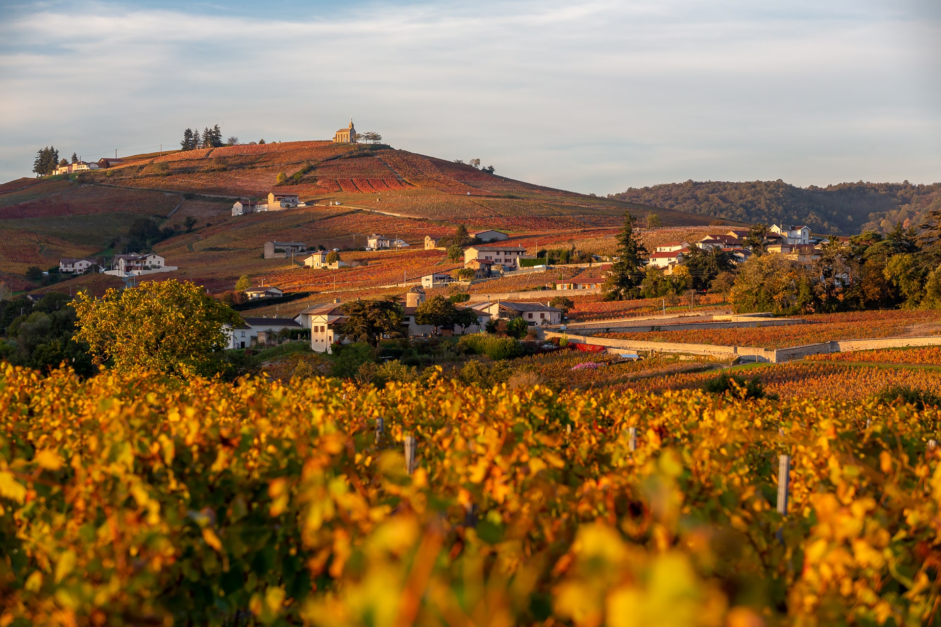 Image paysage Beaujolais
