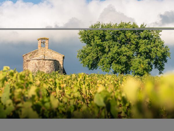 Image paysage Beaujolais